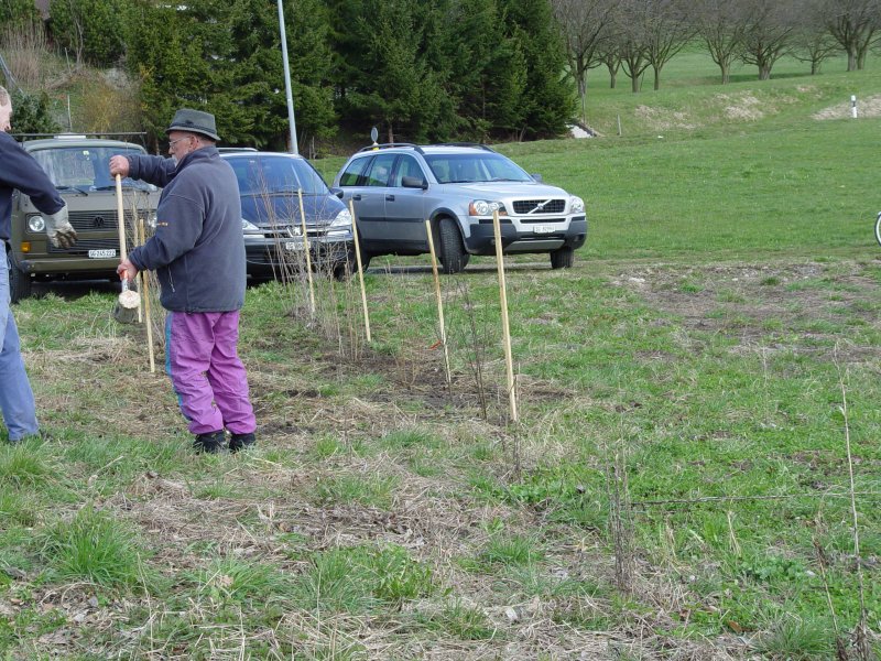 gal/diverses/Naturschutzverein/2008/Einsatz_29032008/DSC05804.JPG