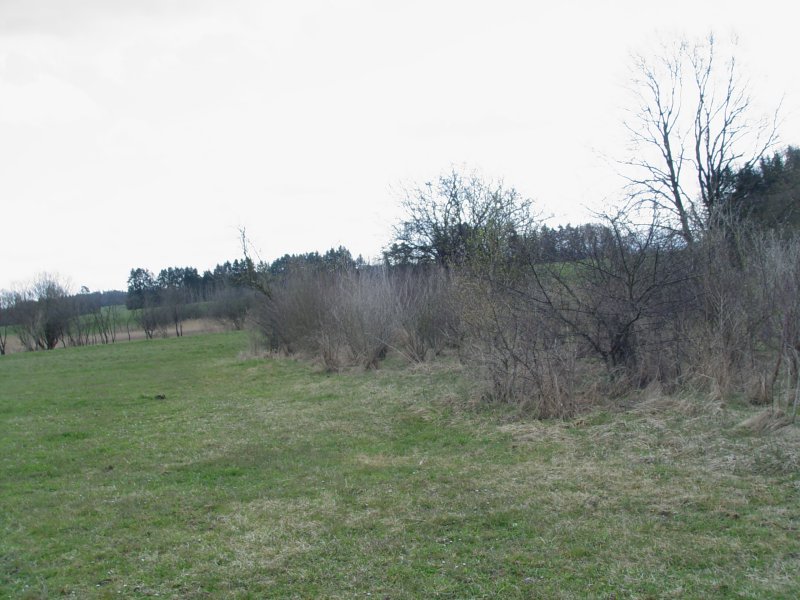 gal/diverses/Naturschutzverein/2008/Einsatz_29032008/DSC05807.JPG