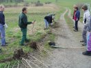 gal/diverses/Naturschutzverein/2008/Einsatz_29032008/_thb_DSC05765.JPG