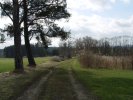 gal/diverses/Naturschutzverein/2008/Einsatz_29032008/_thb_DSC05767.JPG