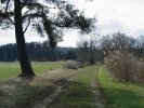 gal/diverses/Naturschutzverein/2008/Einsatz_29032008/_thb_DSC05768.JPG
