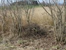 gal/diverses/Naturschutzverein/2008/Einsatz_29032008/_thb_DSC05770.JPG