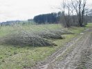 gal/diverses/Naturschutzverein/2008/Einsatz_29032008/_thb_DSC05772.JPG
