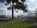 gal/diverses/Naturschutzverein/2008/Einsatz_29032008/_thb_DSC05773.JPG