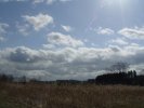 gal/diverses/Naturschutzverein/2008/Einsatz_29032008/_thb_DSC05775.JPG