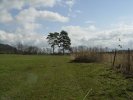 gal/diverses/Naturschutzverein/2008/Einsatz_29032008/_thb_DSC05779.JPG