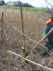 gal/diverses/Naturschutzverein/2008/Einsatz_29032008/_thb_DSC05782.JPG