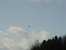 gal/diverses/Naturschutzverein/2008/Einsatz_29032008/_thb_DSC05783.JPG