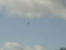 gal/diverses/Naturschutzverein/2008/Einsatz_29032008/_thb_DSC05784.JPG