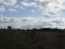 gal/diverses/Naturschutzverein/2008/Einsatz_29032008/_thb_DSC05785.JPG