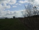 gal/diverses/Naturschutzverein/2008/Einsatz_29032008/_thb_DSC05786.JPG