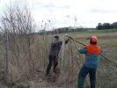 gal/diverses/Naturschutzverein/2008/Einsatz_29032008/_thb_DSC05788.JPG