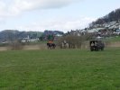 gal/diverses/Naturschutzverein/2008/Einsatz_29032008/_thb_DSC05793.JPG