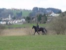 gal/diverses/Naturschutzverein/2008/Einsatz_29032008/_thb_DSC05794.JPG