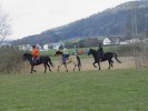 gal/diverses/Naturschutzverein/2008/Einsatz_29032008/_thb_DSC05795.JPG