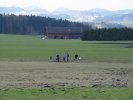gal/diverses/Naturschutzverein/2008/Einsatz_29032008/_thb_DSC05798.JPG