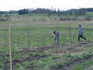 gal/diverses/Naturschutzverein/2008/Einsatz_29032008/_thb_DSC05802.JPG