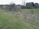 gal/diverses/Naturschutzverein/2008/Einsatz_29032008/_thb_DSC05806.JPG