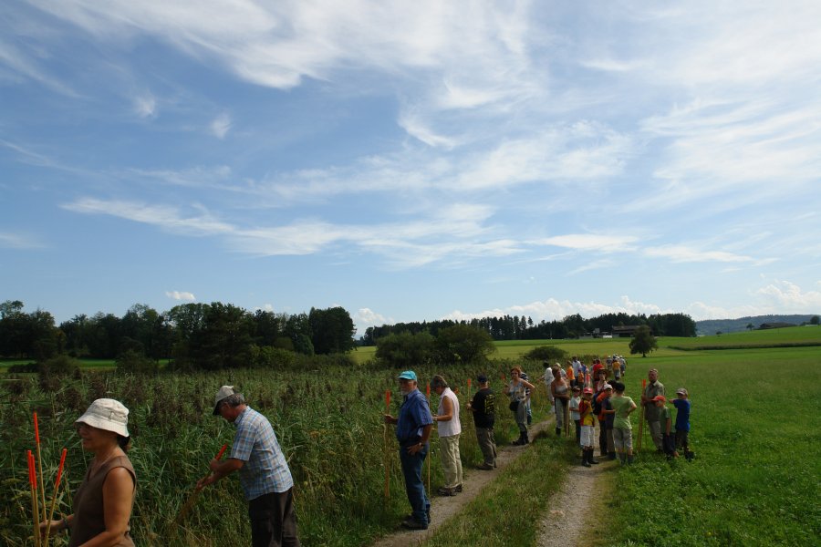 gal/diverses/Naturschutzverein/2009/Lungenenzian09/DSC08385.JPG