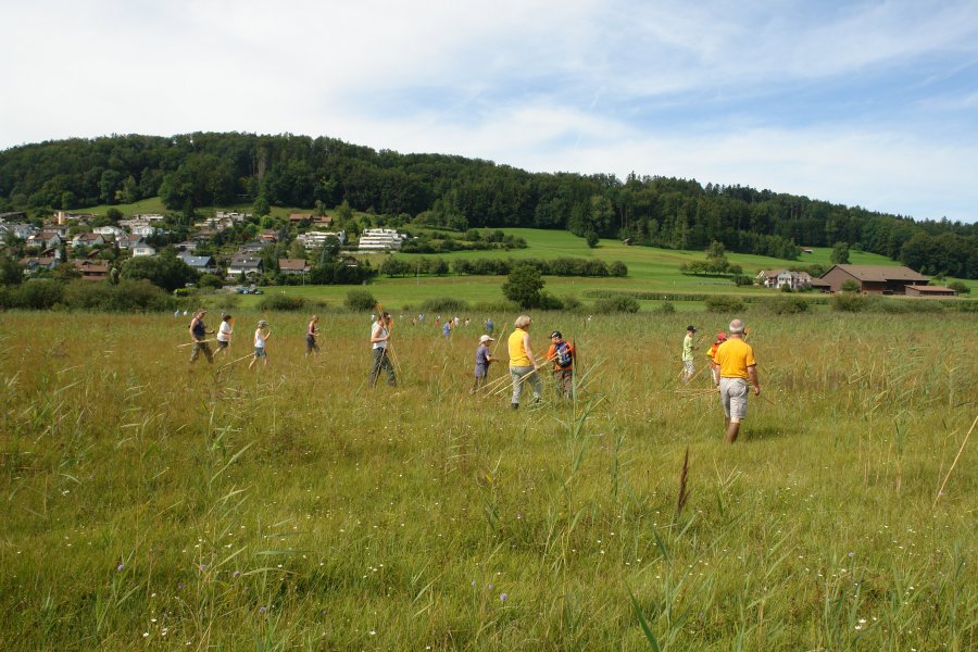 gal/diverses/Naturschutzverein/2009/Lungenenzian09/DSC08394.JPG