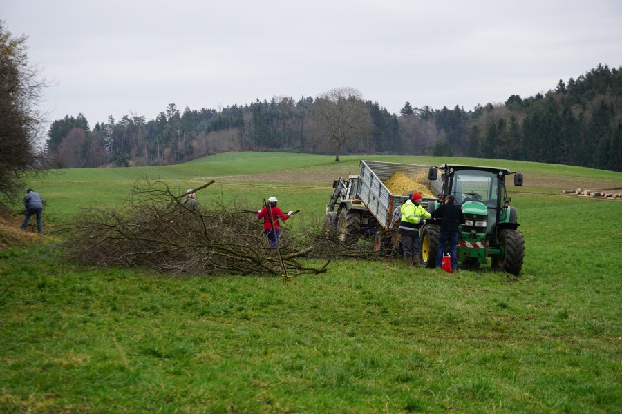 gal/diverses/Naturschutzverein/2018/Bernegg_03022018/DSC01380.JPG