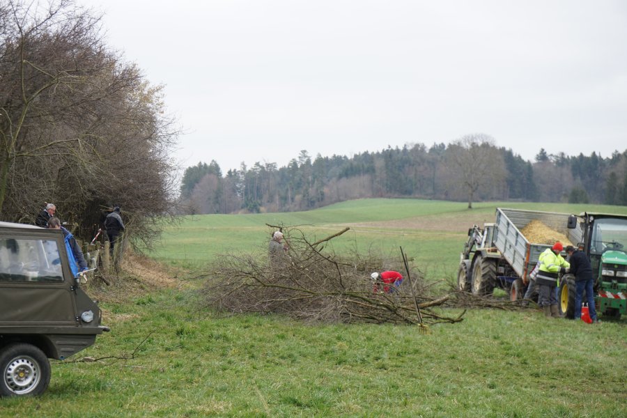 gal/diverses/Naturschutzverein/2018/Bernegg_03022018/DSC01381.JPG