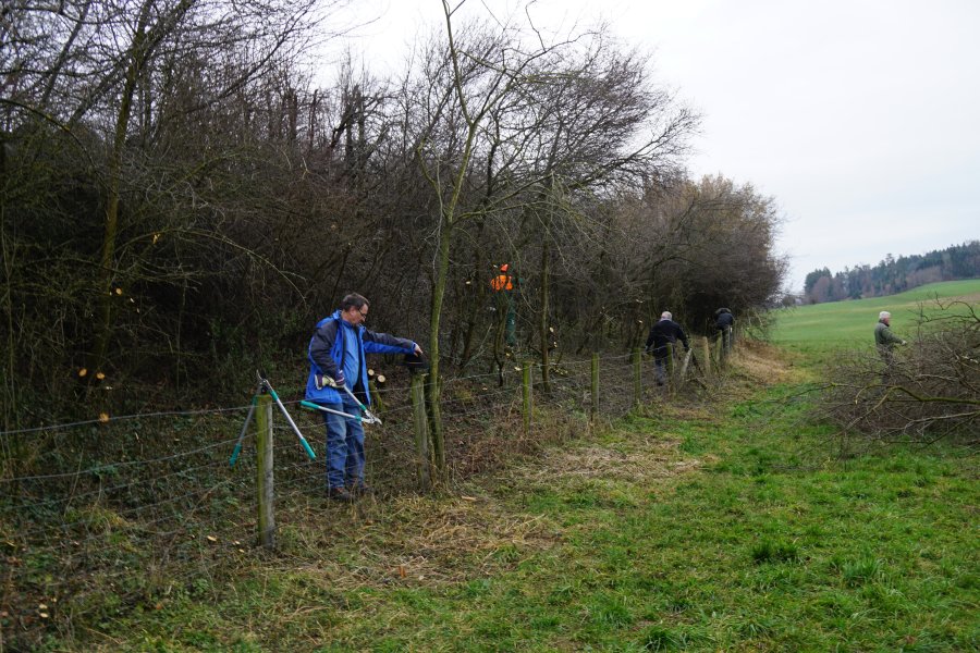 gal/diverses/Naturschutzverein/2018/Bernegg_03022018/DSC01383.JPG