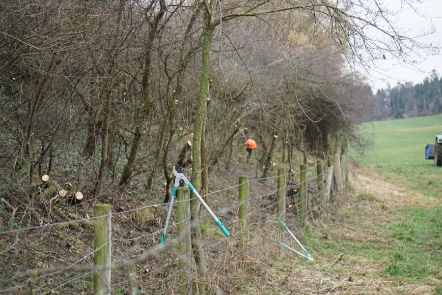 gal/diverses/Naturschutzverein/2018/Bernegg_03022018/DSC01391.JPG