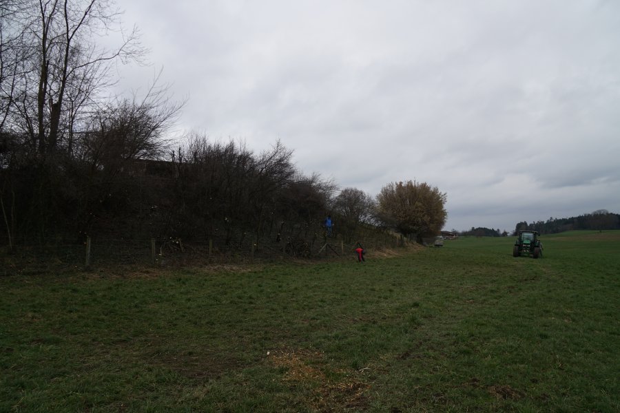 gal/diverses/Naturschutzverein/2018/Bernegg_03022018/DSC01392.JPG