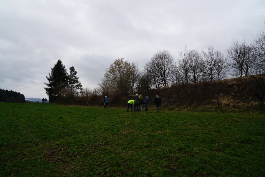 gal/diverses/Naturschutzverein/2018/Bernegg_03022018/DSC01395.JPG
