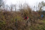 gal/diverses/Naturschutzverein/2018/Bernegg_03022018/_thb_DSC01373.JPG
