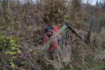 gal/diverses/Naturschutzverein/2018/Bernegg_03022018/_thb_DSC01375.JPG