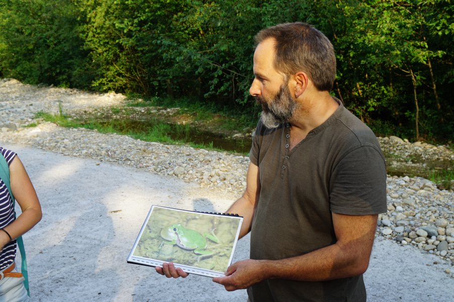 gal/diverses/Naturschutzverein/2018/Gillhof_05062018/DSC02902.JPG