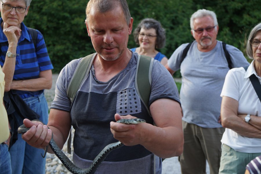 gal/diverses/Naturschutzverein/2018/Gillhof_05062018/DSC02924.JPG