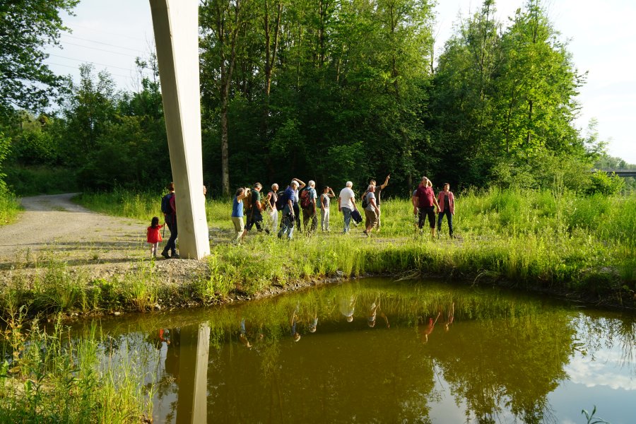 gal/diverses/Naturschutzverein/2018/Gillhof_05062018/DSC02935.JPG