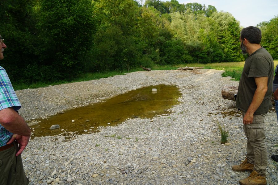 gal/diverses/Naturschutzverein/2018/Gillhof_05062018/DSC02938.JPG