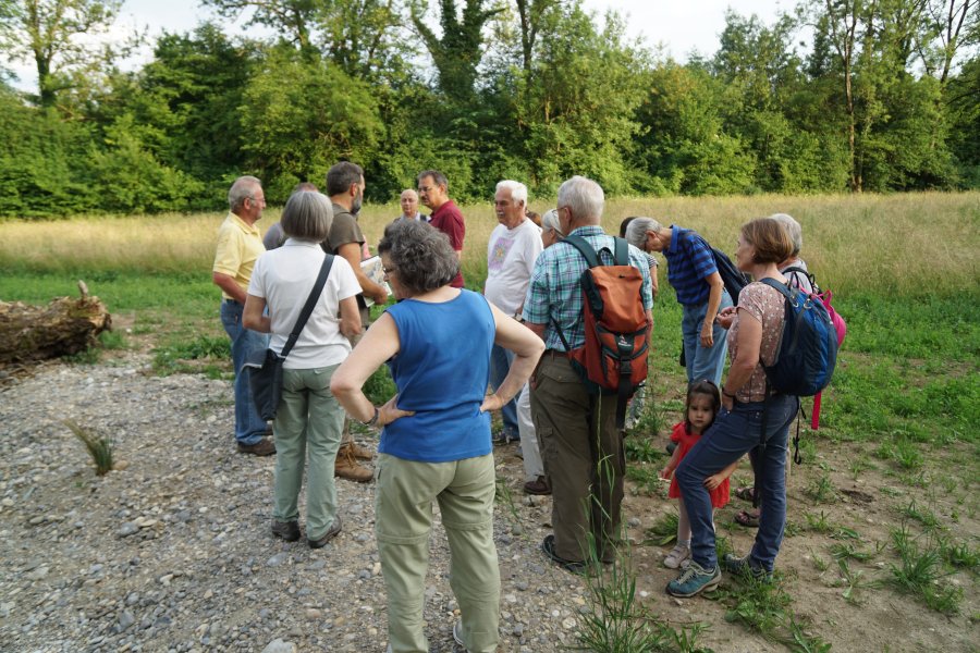 gal/diverses/Naturschutzverein/2018/Gillhof_05062018/DSC02941.JPG