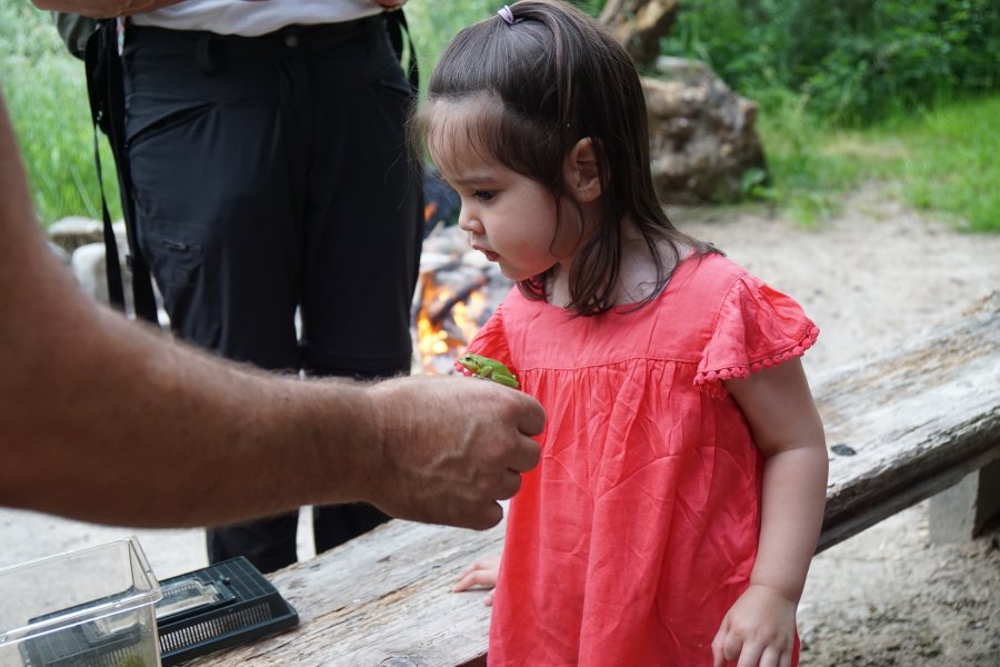 gal/diverses/Naturschutzverein/2018/Gillhof_05062018/DSC02954.JPG