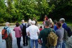 gal/diverses/Naturschutzverein/2018/Gillhof_05062018/_thb_DSC02894.JPG