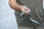 gal/diverses/Naturschutzverein/2018/Gillhof_05062018/_thb_DSC02911.JPG