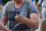 gal/diverses/Naturschutzverein/2018/Gillhof_05062018/_thb_DSC02923.JPG