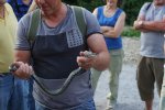 gal/diverses/Naturschutzverein/2018/Gillhof_05062018/_thb_DSC02925.JPG