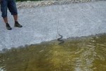 gal/diverses/Naturschutzverein/2018/Gillhof_05062018/_thb_DSC02928.JPG