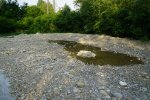 gal/diverses/Naturschutzverein/2018/Gillhof_05062018/_thb_DSC02931.JPG