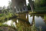 gal/diverses/Naturschutzverein/2018/Gillhof_05062018/_thb_DSC02932.JPG