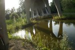 gal/diverses/Naturschutzverein/2018/Gillhof_05062018/_thb_DSC02933.JPG