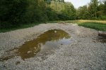 gal/diverses/Naturschutzverein/2018/Gillhof_05062018/_thb_DSC02939.JPG