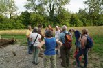 gal/diverses/Naturschutzverein/2018/Gillhof_05062018/_thb_DSC02940.JPG