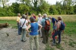 gal/diverses/Naturschutzverein/2018/Gillhof_05062018/_thb_DSC02941.JPG