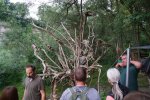 gal/diverses/Naturschutzverein/2018/Gillhof_05062018/_thb_DSC02948.JPG